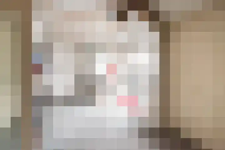 Oeverstraat 3 Gaanderen thumbnail 38