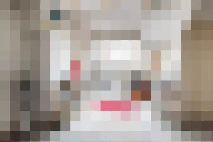 Oeverstraat 3 Gaanderen thumbnail 40