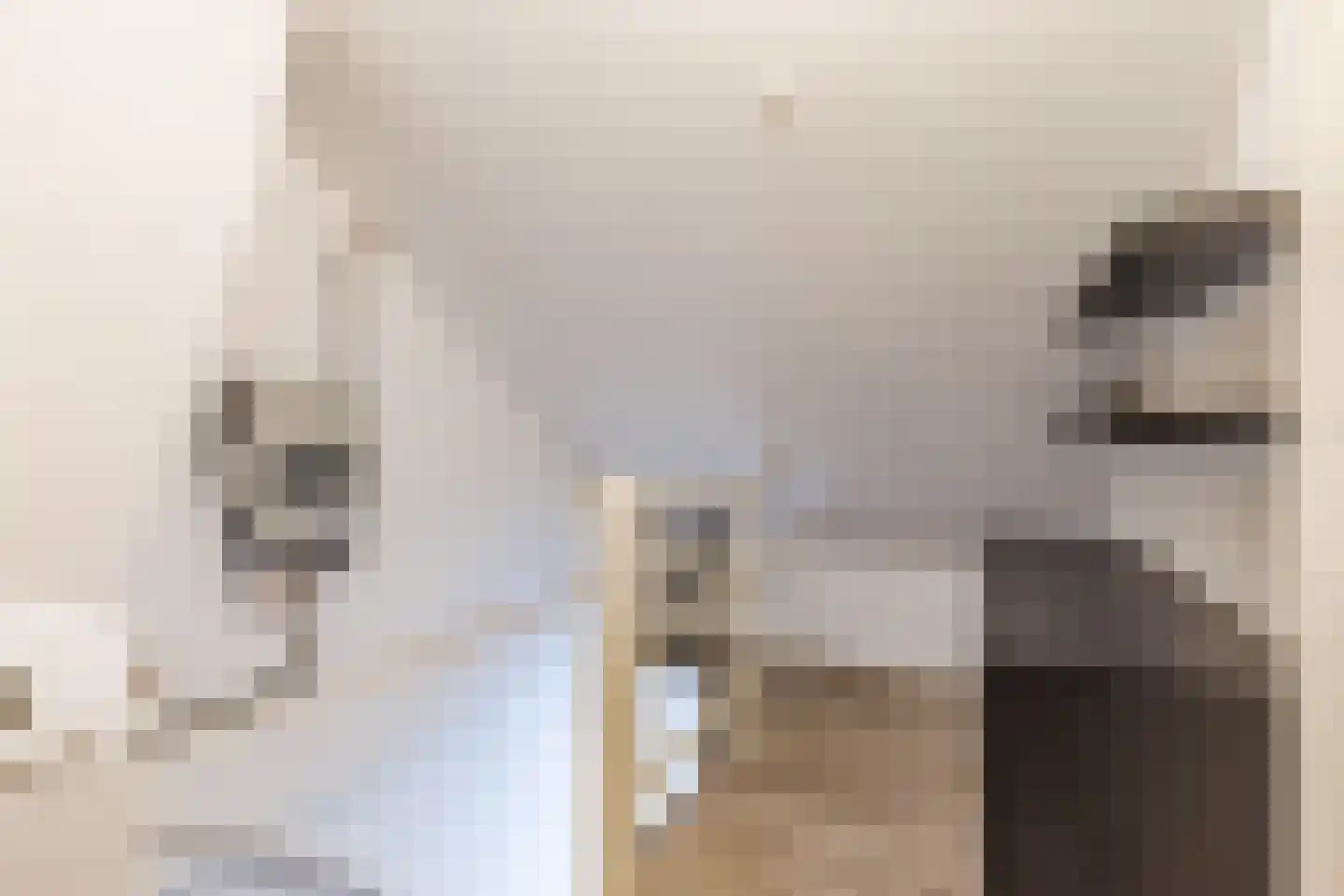 Oeverstraat 6 Tilburg thumbnail 18