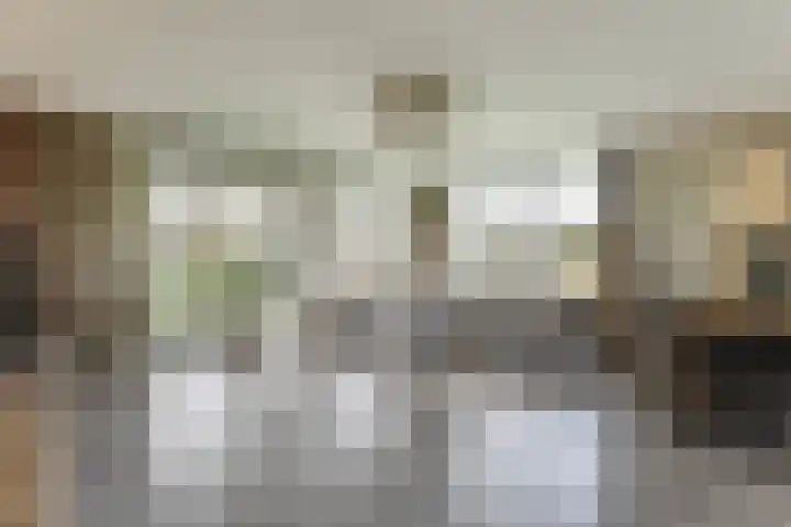 Oeverwal 101 Hoogwoud thumbnail 14