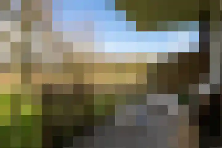 Oeverwal 101 Hoogwoud thumbnail 17