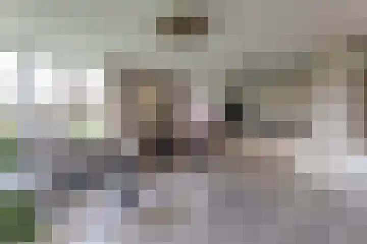 Oeverwal 101 Hoogwoud thumbnail 18