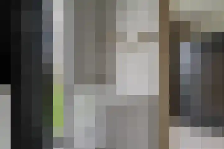 Oeverwal 101 Hoogwoud thumbnail 31