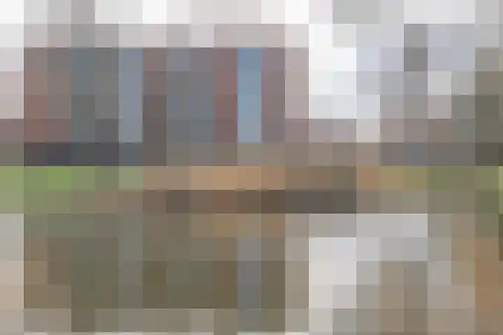 Oeverwal 101 Hoogwoud thumbnail 33
