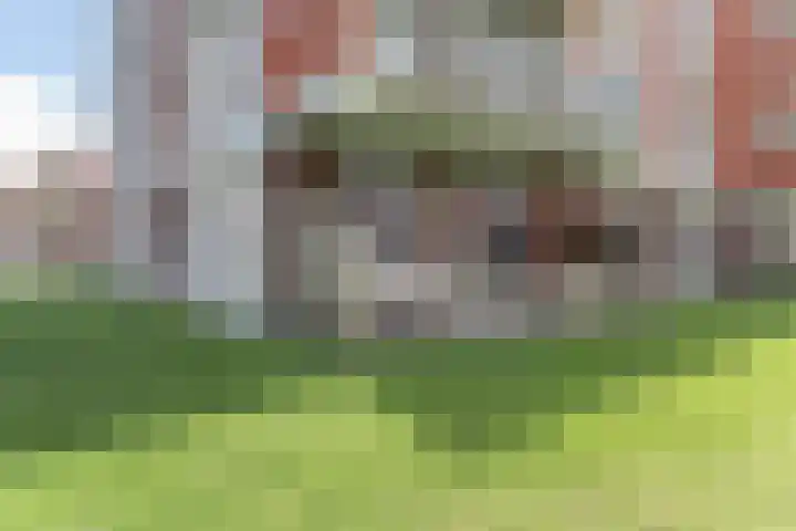 Oeverwal 101 Hoogwoud thumbnail 38