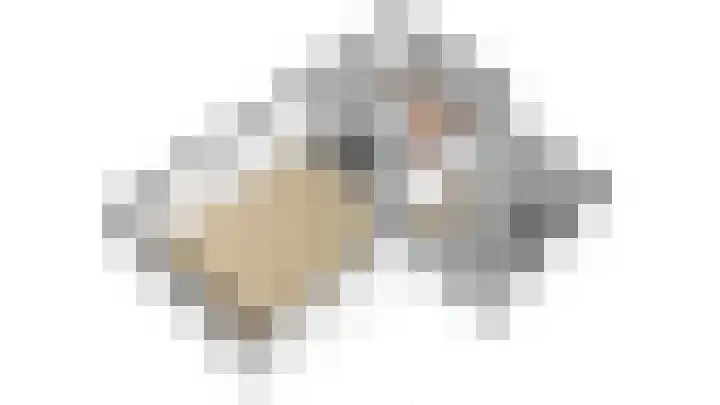 Oeverwal 101 Hoogwoud thumbnail 6