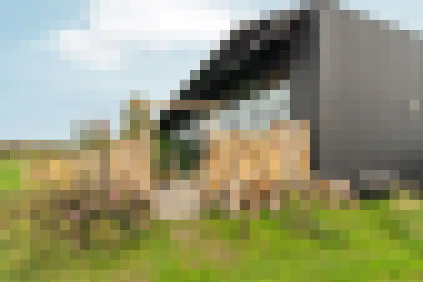 Oeverwalhof 2 Almere thumbnail 47