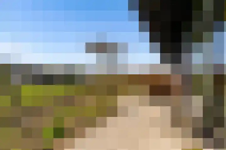 Oeverwalhof 54 Almere thumbnail 45