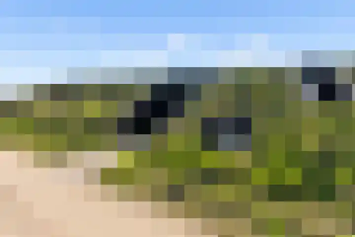 Oeverwalhof 54 Almere thumbnail 5