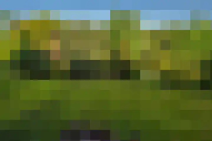 Offenberglaan 1 42 Den Haag thumbnail 14