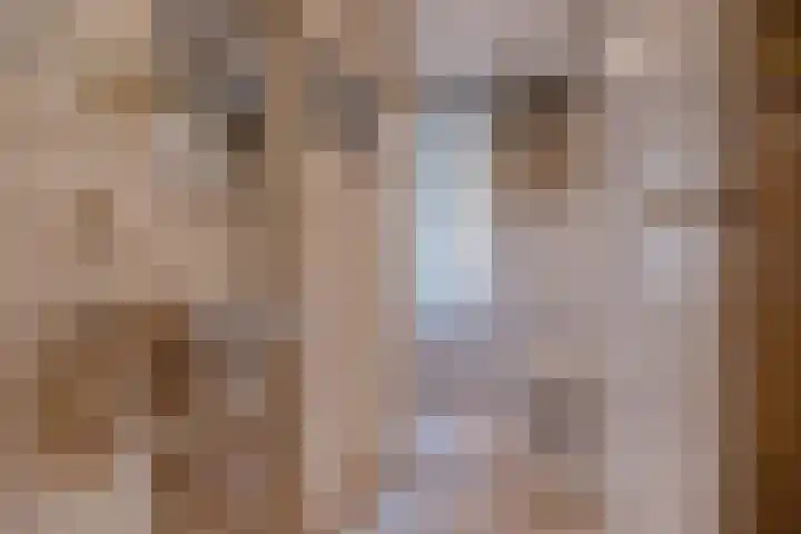 Offenberglaan 1 42 Den Haag thumbnail 8