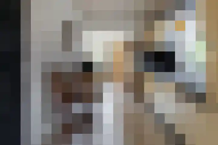 Officiersweg 32 Epe thumbnail 12