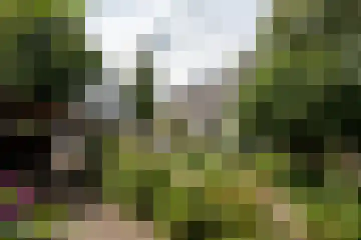 Officiersweg 32 Epe thumbnail 25