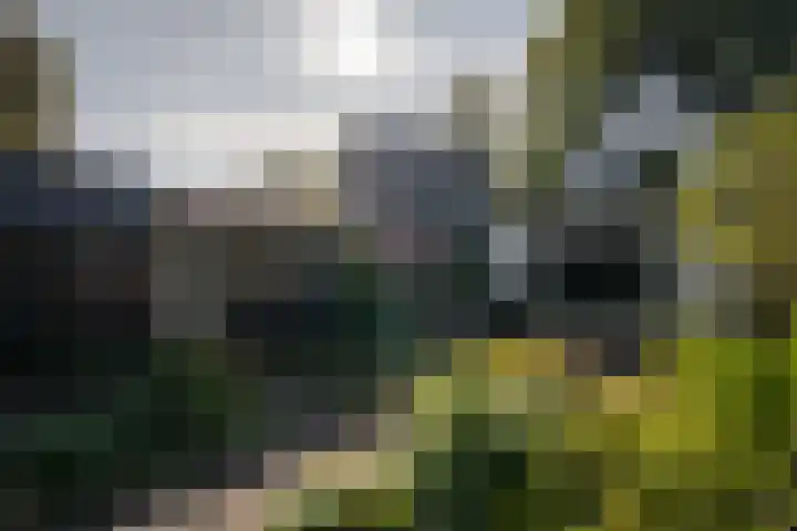 Officiersweg 32 Epe thumbnail 26