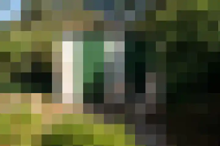 Officiersweg 32 Epe thumbnail 28