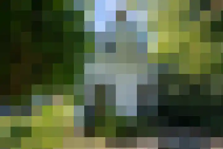 Officiersweg 32 Epe thumbnail 30
