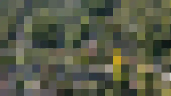 Officiersweg 32 Epe thumbnail 34