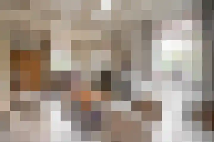 Officiersweg 32 Epe thumbnail 6