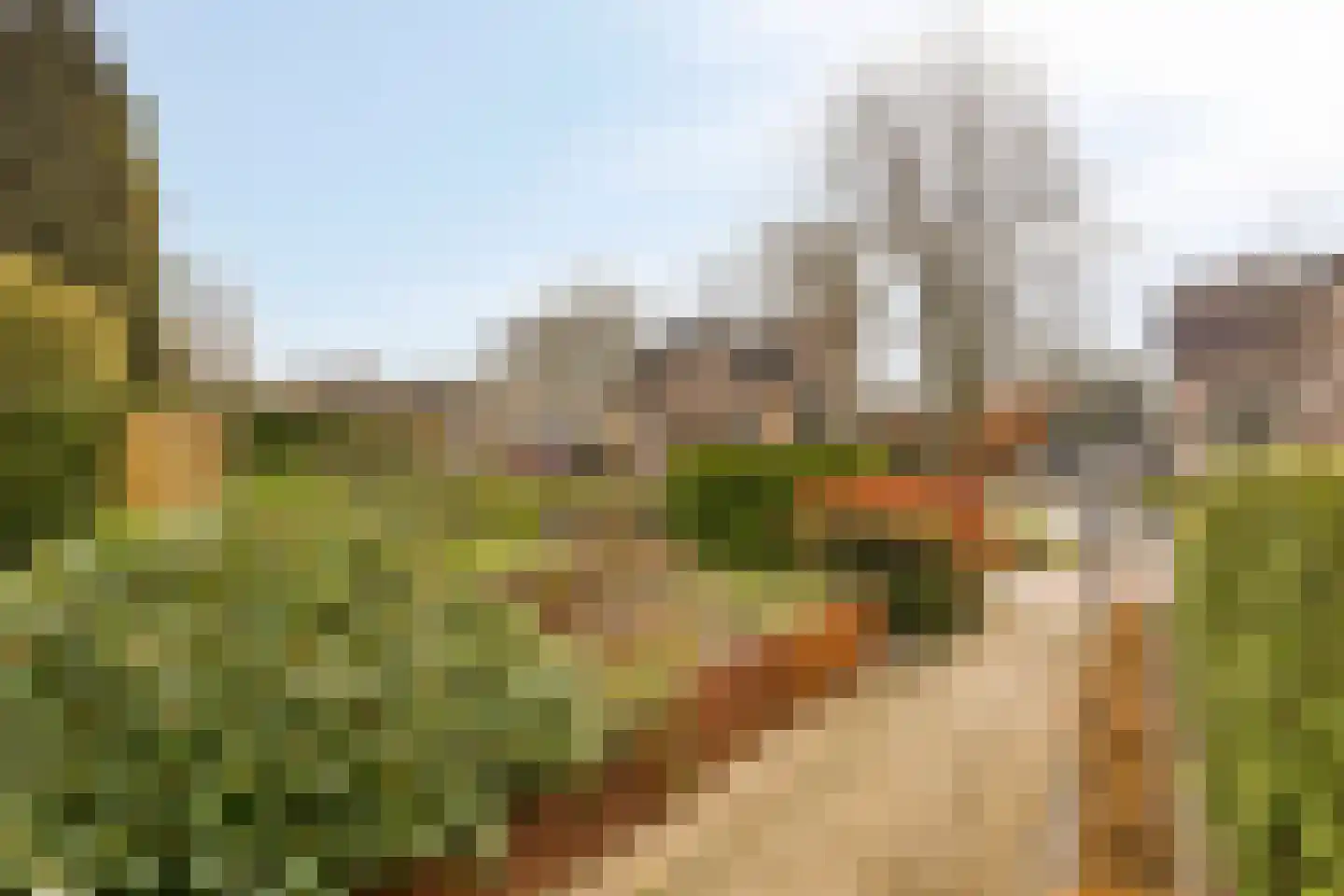 Officiersweg 7 Epe thumbnail 36