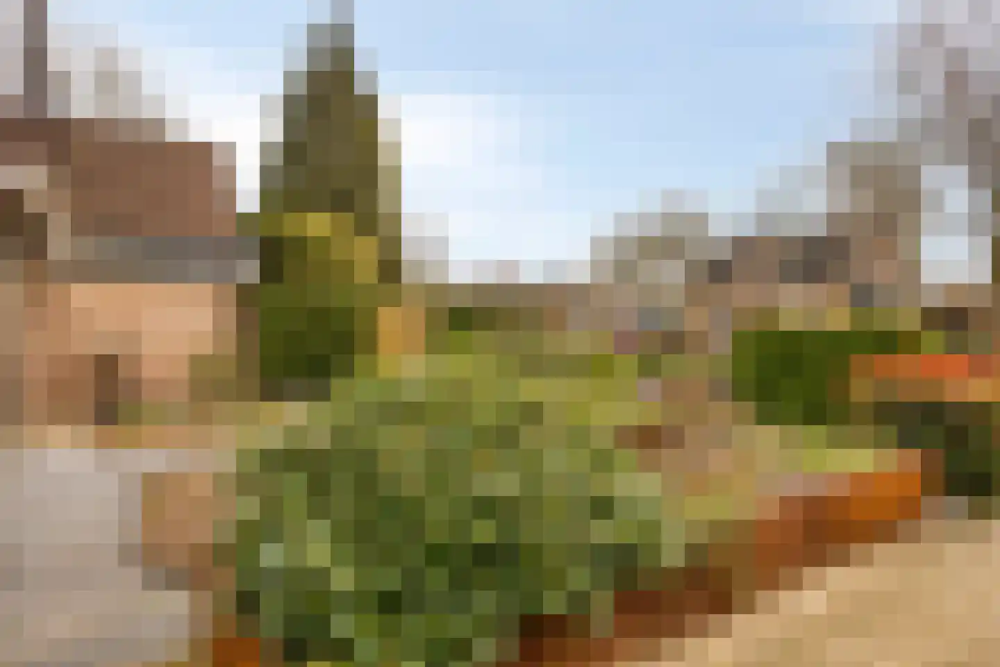 Officiersweg 7 Epe thumbnail 37