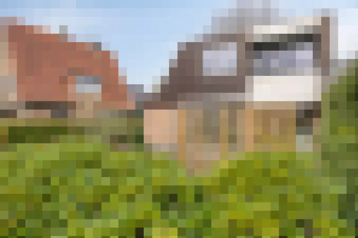 Officiersweg 7 Epe thumbnail 38