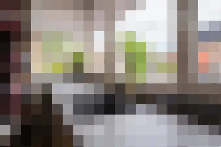 Offingaweg 7 Hallum thumbnail 13