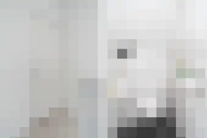 Offingaweg 7 Hallum thumbnail 19