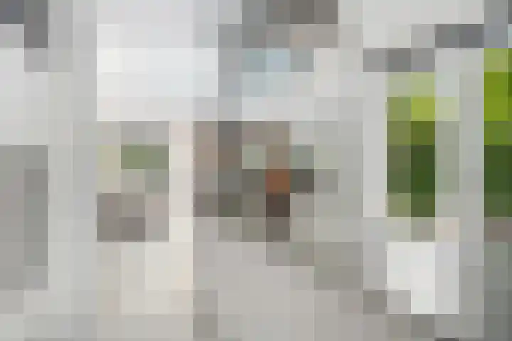 Offingaweg 7 Hallum thumbnail 24