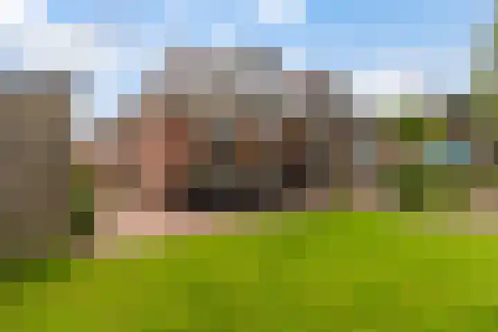 Offingaweg 7 Hallum thumbnail 28