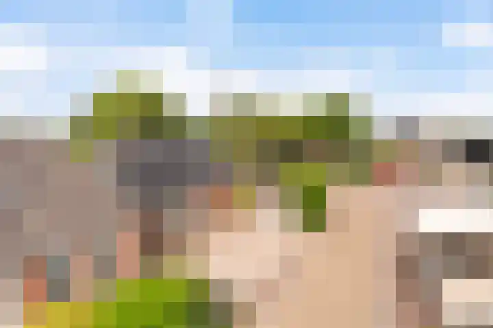 Offingaweg 7 Hallum thumbnail 30