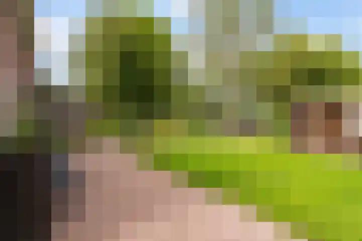 Offingaweg 7 Hallum thumbnail 32