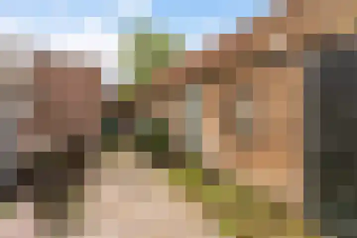 Offingaweg 7 Hallum thumbnail 36