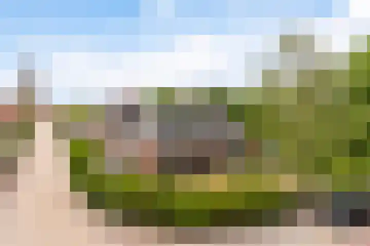 Offingaweg 7 Hallum thumbnail 37