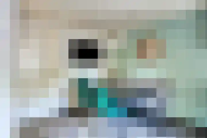Ogentroost 1 Zeeland thumbnail 13