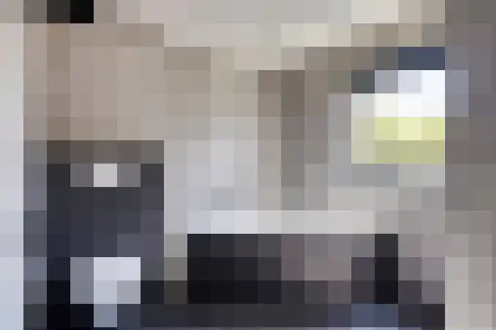 Ogentroost 1 Zeeland thumbnail 19