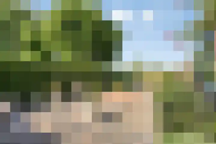 Oijense Benedendijk 3 Oijen thumbnail 30