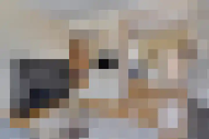 Oijense Benedendijk 3 Oijen thumbnail 6