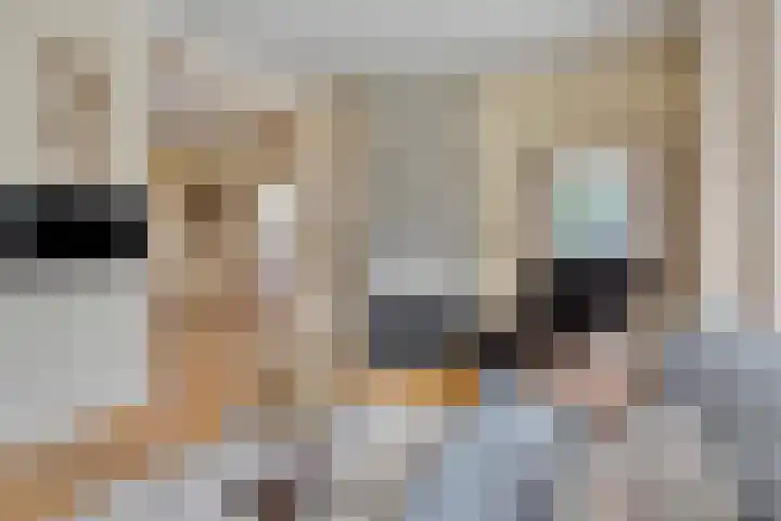 Oijense Benedendijk 3 Oijen thumbnail 7