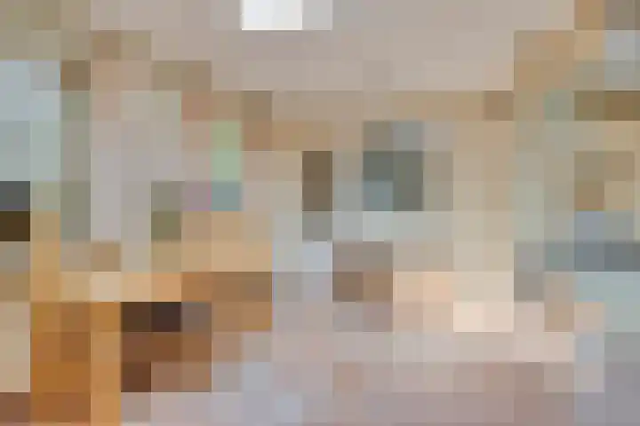 Oijense Benedendijk 3 Oijen thumbnail 8