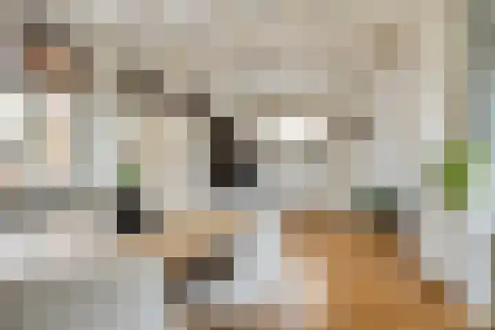 Oijenseweg 126 Oss thumbnail 14