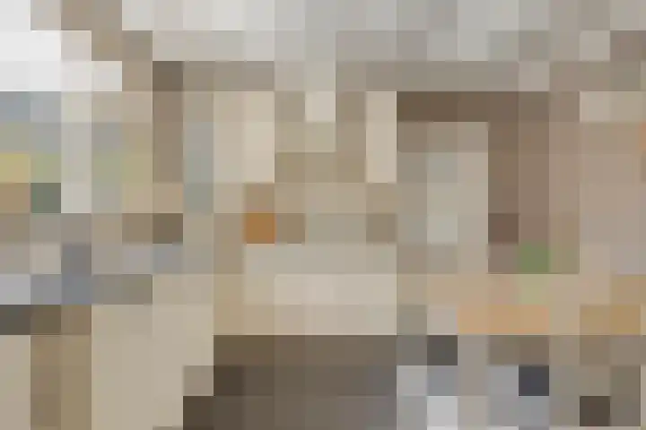 Oijenseweg 126 Oss thumbnail 18
