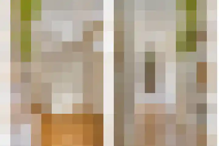 Oijenseweg 126 Oss thumbnail 23