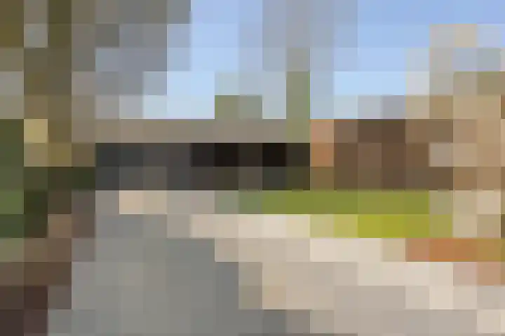 Oijenseweg 126 Oss thumbnail 4