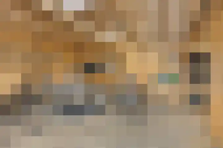 Oijenseweg 126 Oss thumbnail 43