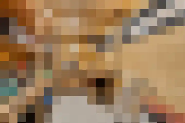 Oijenseweg 126 Oss thumbnail 44