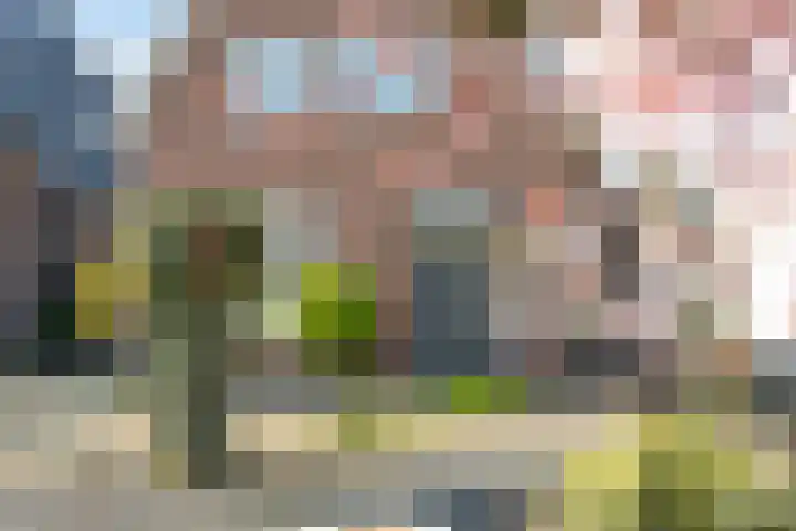 Oijenseweg 126 Oss thumbnail 46