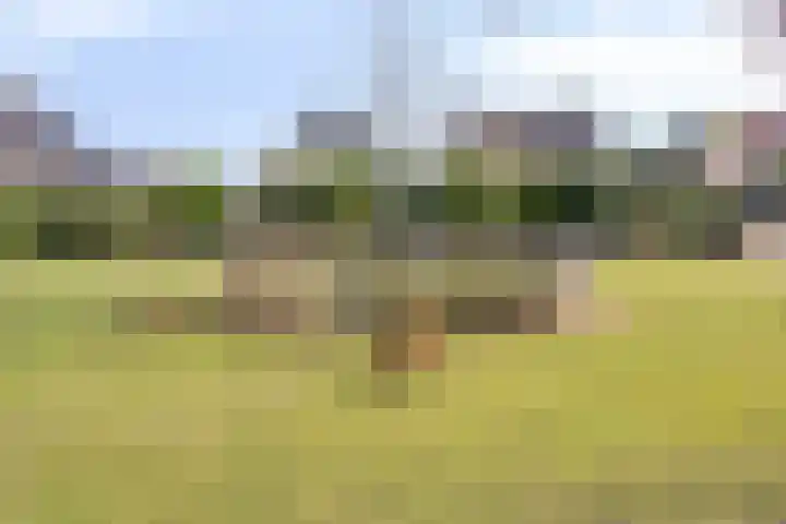 Oijenseweg 126 Oss thumbnail 49