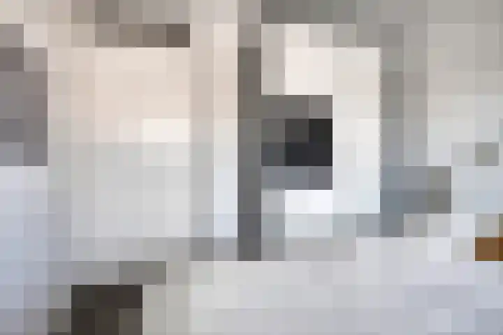 Oijenseweg 171 Oss thumbnail 26
