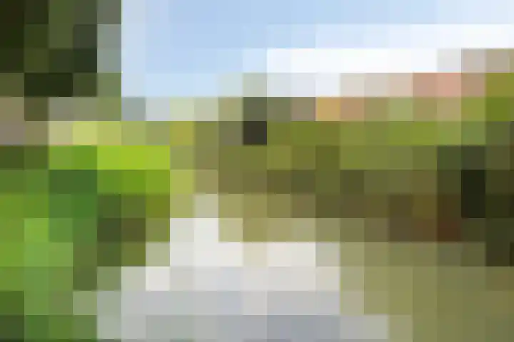 Oijenseweg 177 Oss thumbnail 33