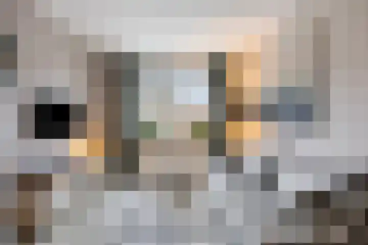 Oijenseweg 33 Oss thumbnail 12
